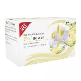 H&amp;S Filterpåse för ekologisk ingefära, 20X2 g