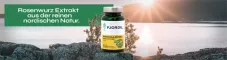 Instructions for use for Fjordil Rhodiola Rosea kapslar (90 stycken) - 1