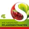 Dobensana Herbal Kirschgeschm.vit.c & Zink Pastil.(36 stycken)