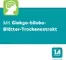 Instructions for use for Ginkgo biloba - 1 A Pharma® 120 mg filmdragerade tabletter, 30 st - 7