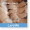 CAPSTAR 11,4 mg tabletter för katter/små hundar, 1 st