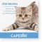 CAPSTAR 11,4 mg tabletter för katter/små hundar, 1 st