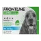 FRONTLINE COMBO mot fästingar, loppor på hundar M (10-20 kg), 3 st