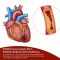 BEH Artery+-kapslar, 90 st