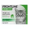 FRONTLINE COMBO SPOT ON Katt, 6 st