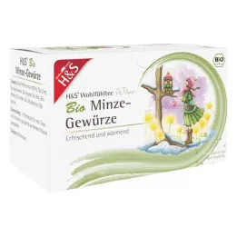 H&S Winter Tea Ekologisk Mynta Kryddor Filterpåse, 20X2,0 g