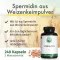 Green Naturals Spermidine 1,6 mg veganska kapslar, 240 st