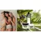 Plantana Olive body cream med vitamin E, 500 ml