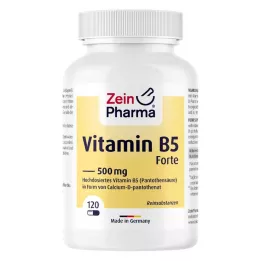 VITAMIN B5 PANTOTHENSÄURE 500 mg kapslar, 120 st
