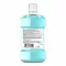 Listerine Cool Mint munskölj med mild smak, 500 ml
